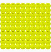 Franklin X40 (24 balls) Outdoor Pickleball Balls | Official tournament ball of PAA & USAPA